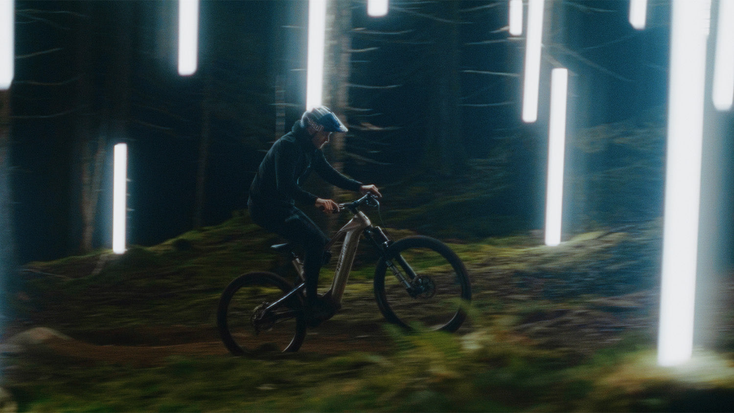 Accell - Haibike