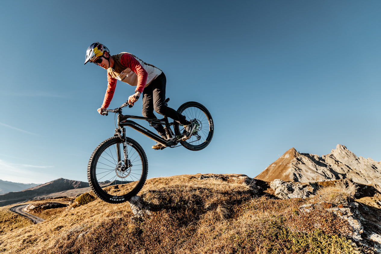 Accell - Haibike